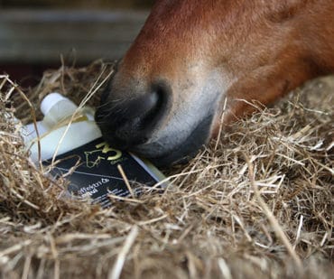 gebalanceerde voeding