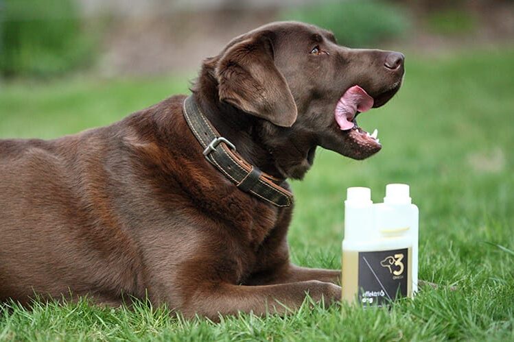 Ervaringen Effektri omega-3 paard of hond